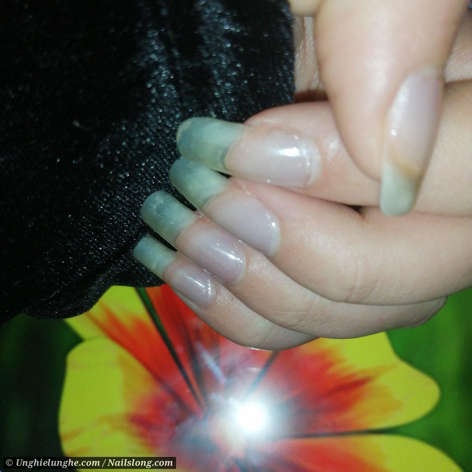 entitybeauty [pr] On Cloud Wine rings from @nadrijewelry [gifted] • • #nails  #fallnails #winternails #nailcolor #nailswatch #n... | Instagram